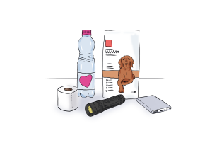 Vészhelyzeti eszközök