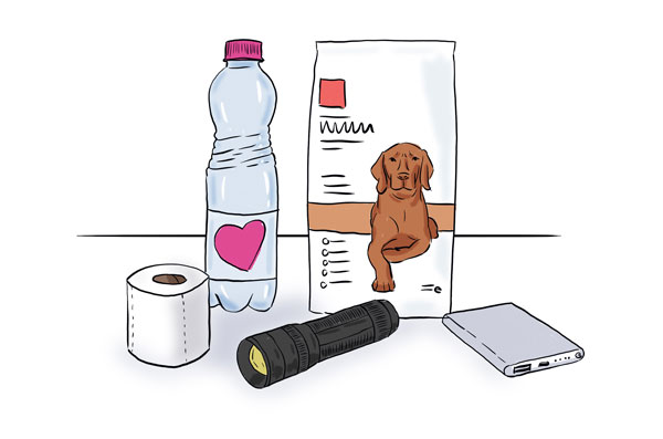 Vészhelyzeti eszközök